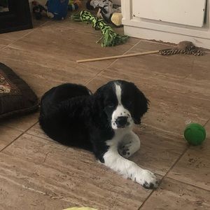 Meet your Posher, Veronica